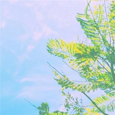 支离破碎游戏下载